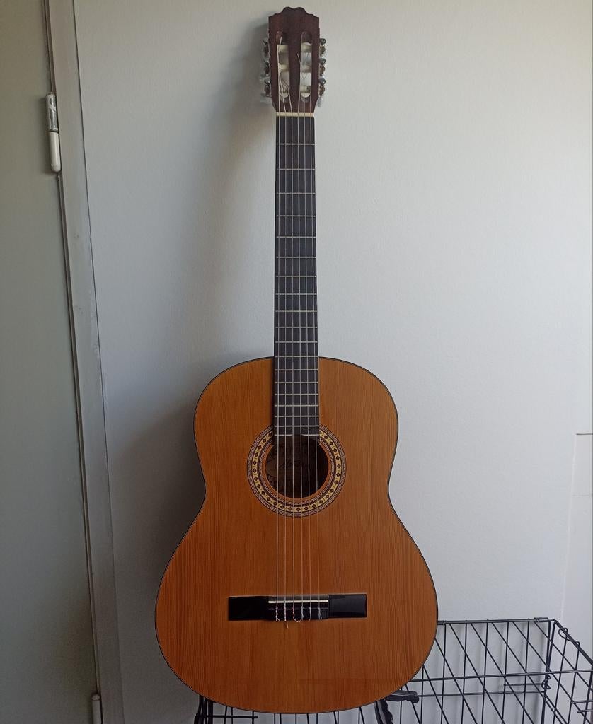 Motion TC901 akoestische gitaar met tas, Muziek en Instrumenten, Snaarinstrumenten | Gitaren | Akoestisch, Ophalen, Gebruikt, Klassieke of Spaanse gitaar