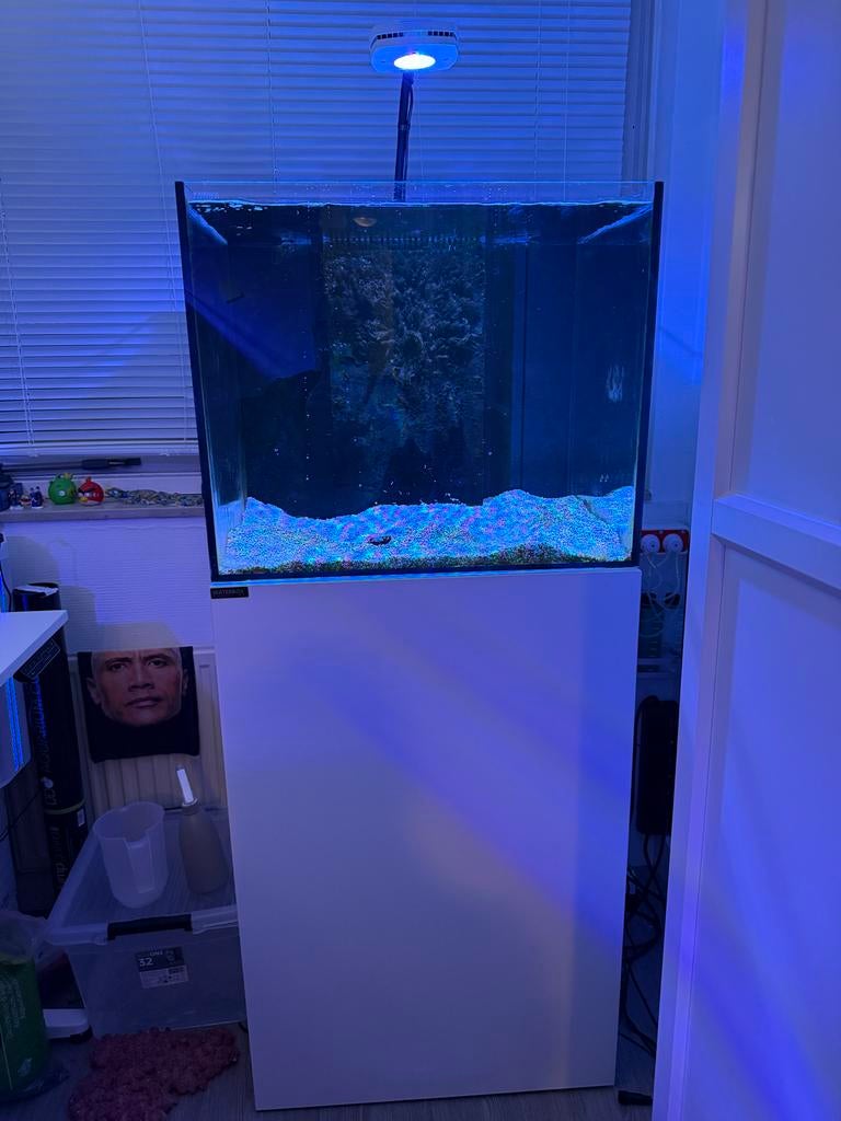 Waterbox Marine 60.2, Ophalen, Leeg aquarium
