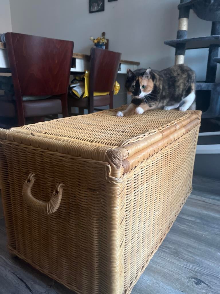 Grote rieten opbergkist / dekenkist, Ophalen, Overige materialen, Gebruikt, 100 tot 150 cm