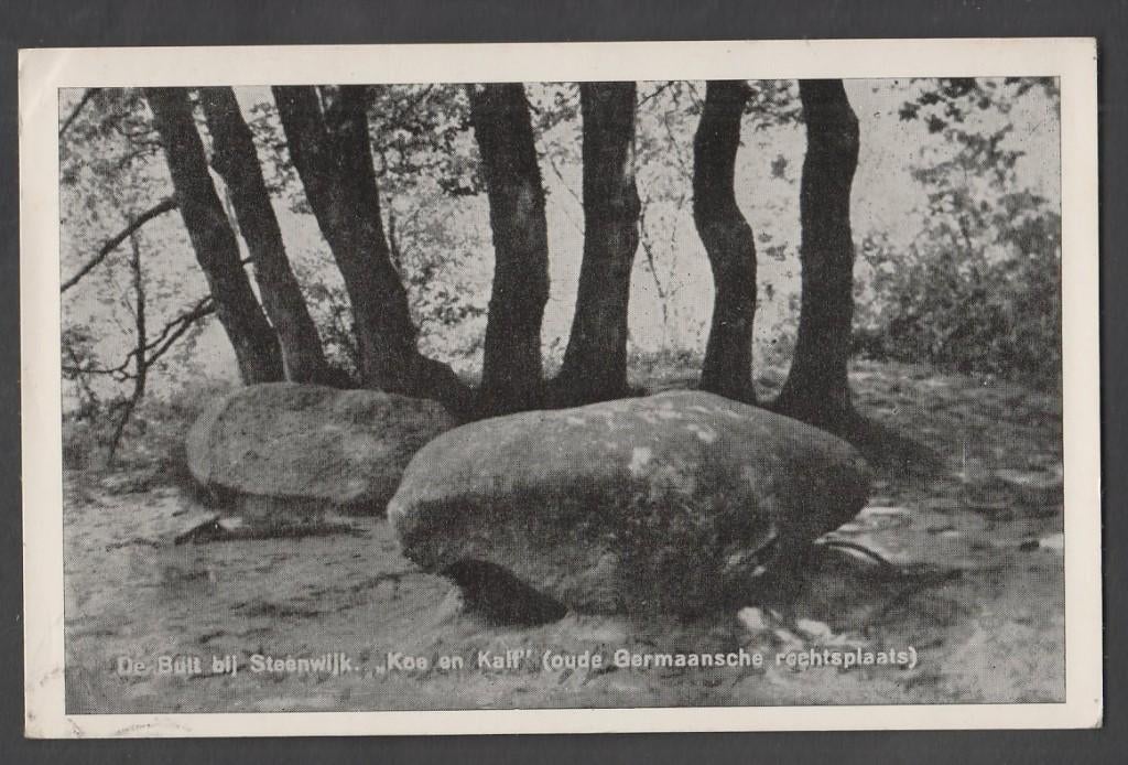 De Bult bij Steenwijk Koe + Kalf Oude Germaanse Rechtsplaats, Verzenden, Voor 1920, Gelopen, Overijssel