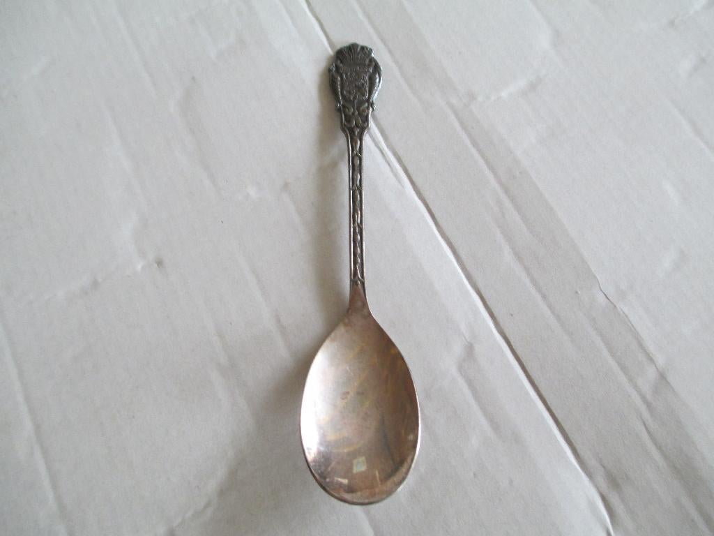 suikerschepje wapen nederland albert heijn, Ophalen of Verzenden, Gebruikt, Rvs of Chroom