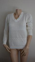 nieuwe witte REBELZ trui, Verzenden, Wit, Nieuw, Rblz