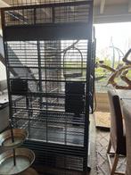 Enorme strong Amalia papegaaien ara kooi Kan in teee delen, Dieren en Toebehoren, Ophalen, Gebruikt, Metaal, Overige typen
