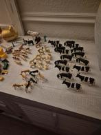 Siku, Meerdere dieren, Kleurkanarie