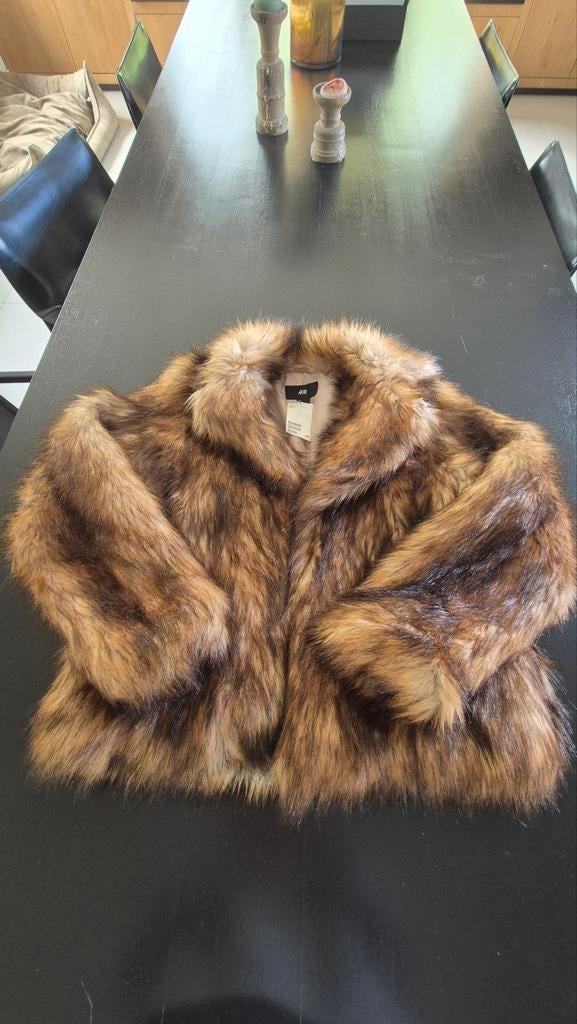 Nieuw, met prijskaartje, fake fur H&M jas maat L, Kleding | Dames, Jassen | Winter, Ophalen of Verzenden, Nieuw, Maat 38/40 (M)