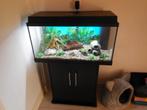 Juwel primo 110 led aquarium/kast combinatie compleet, Ophalen, Zo goed als nieuw, Leeg aquarium, Verwarming