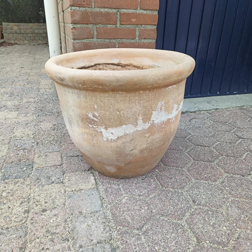 Grote oudere terracotta bloempot D48cm! Nu slechts €50,-, Tuin en Terras, Ophalen, Rond, 40 cm of meer