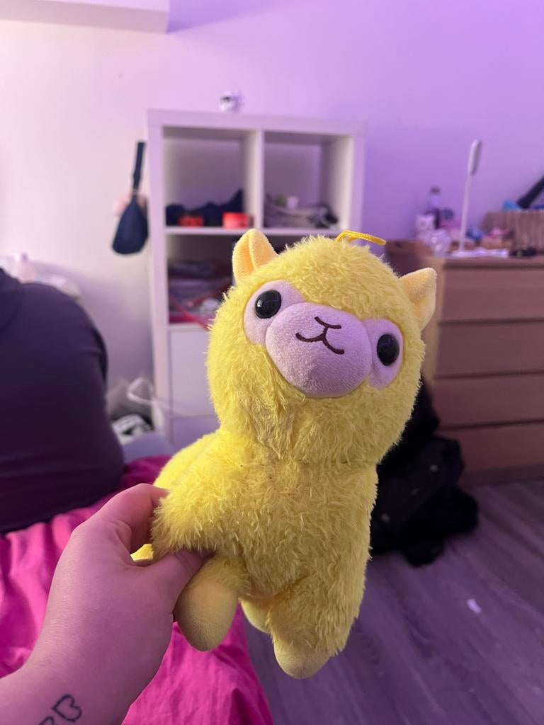 Knuffel, Ophalen of Verzenden, Zo goed als nieuw, Overige typen