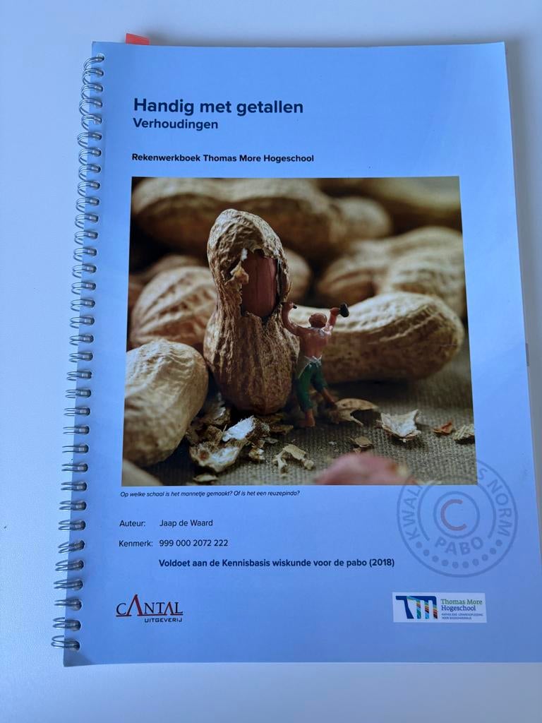 Handig met getallen: Verhoudingen Rekenwerkboek PABO, Boeken, Ophalen of Verzenden, Gamma, Zo goed als nieuw, HBO