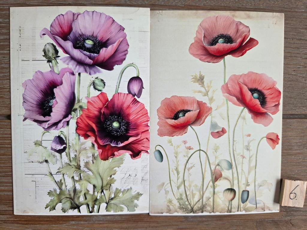 KLAPROOS BLOEM 6, Ophalen, Overige thema's