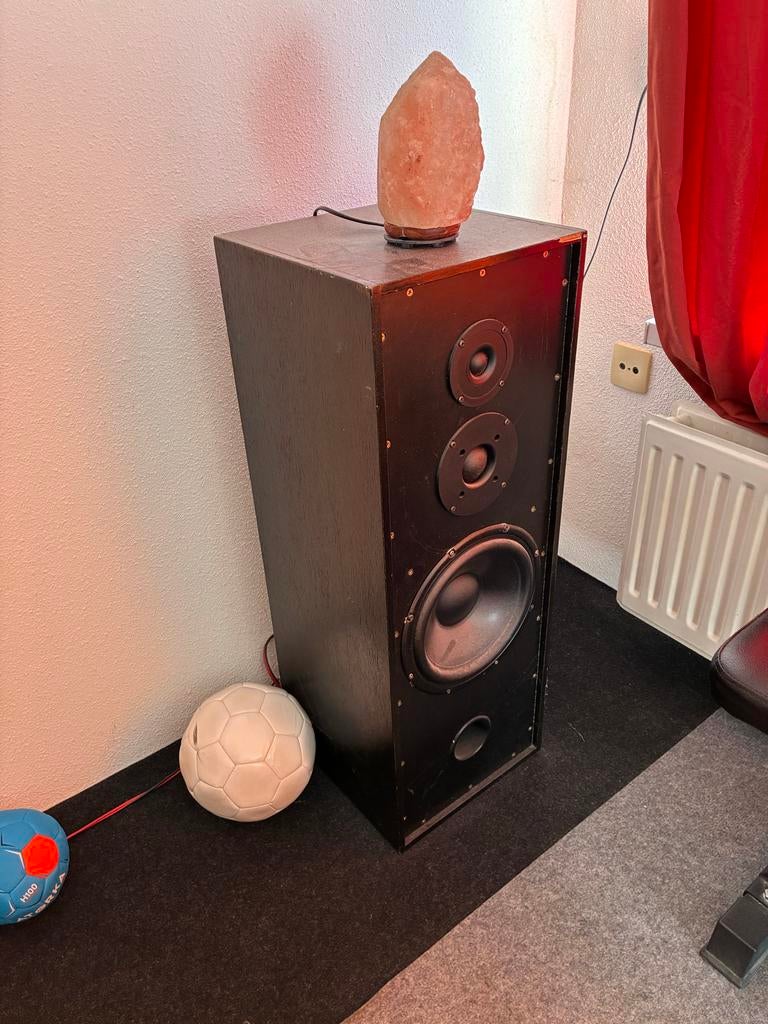 Peerless zelfgebouwde speakers - Krachtig geluid, Ophalen, Gebruikt, Front, Rear of Stereo speakers, Overige merken