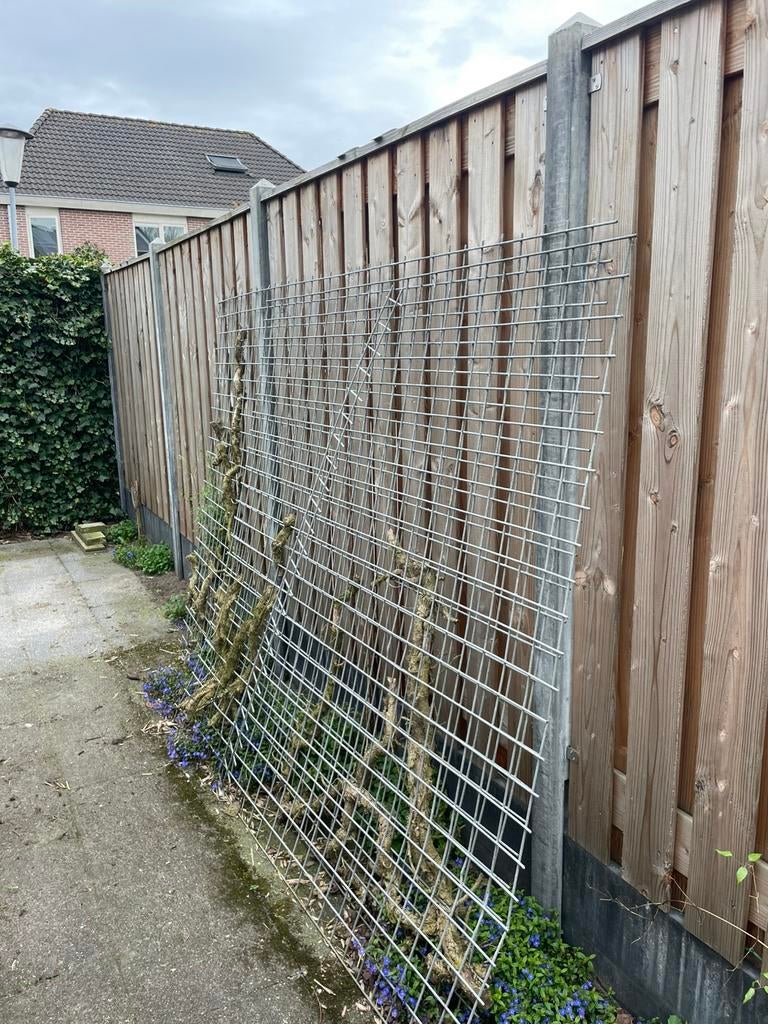 Beton ijzer voor schutting of betonvloer, Tuin en Terras, Schuttingen, Ophalen, 1 tot 2 meter, Minder dan 3 meter, Zo goed als nieuw