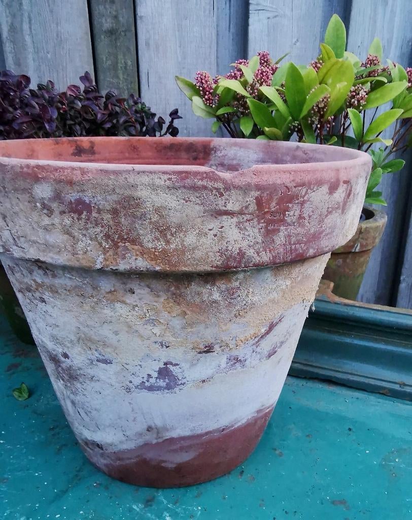 Terracotta potten Grotere maten vintage tot oud, Steen, Gebruikt, ., Rond