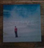 Lp curve, Ophalen of Verzenden, Zo goed als nieuw, 12 inch