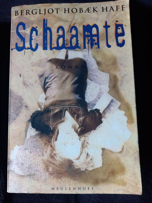 Bergljot Hobæk Haff - Schaamte, Boeken, Romans, Gelezen, Ophalen of Verzenden