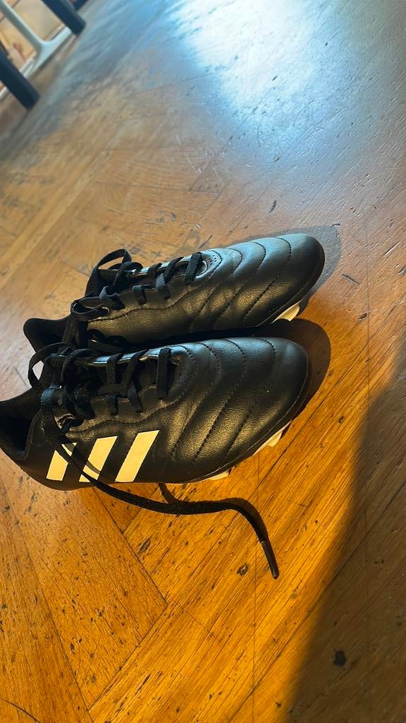 Adidas voetbalschoenen, Sport en Fitness, Voetbal, Maat S, Ophalen of Verzenden, Gebruikt, Schoenen
