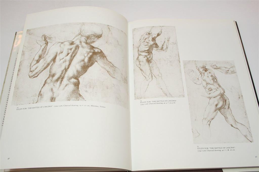 Michelangelo — Schilderijen & Beeldhouwwerk Groot Kunstboek, Ophalen of Verzenden, Gelezen