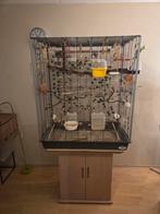 Grote kooi / binnen voilere met 8 zebravinkjes, Ophalen