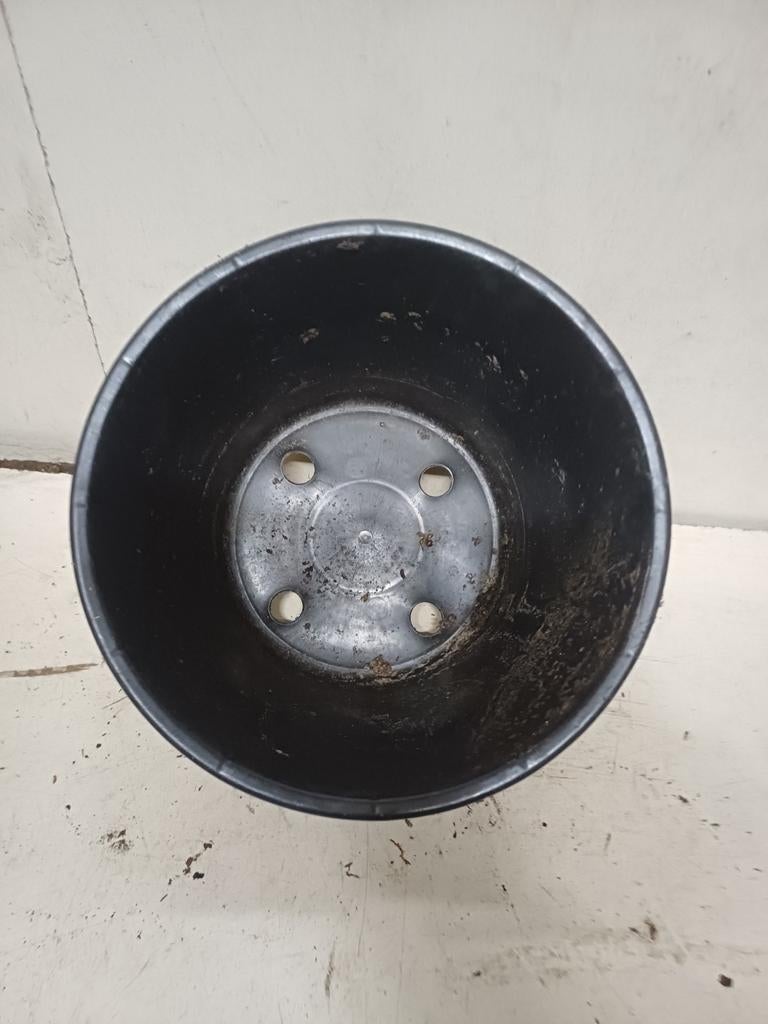 Kweekpotten plantenpotten bloempotten 5 liter, Tuin en Terras, Kunststof, Gebruikt, Rond, Ophalen of Verzenden