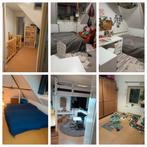 Dierenoppas voor verblijf in Eindhoven (7weken), Huizen en Kamers, Woningruil, 314 m², 3 kamers, Noord-Brabant