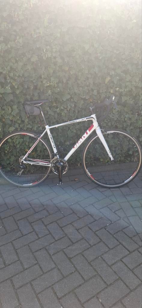Giant Defy Dames Racefiets maat M, 28 inch, Gebruikt, Velgrem, Aluminium