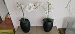 2 x orchideeën met hoge pot, 70 cm, Ophalen of Verzenden, Inclusief kunstbloemen, Binnen