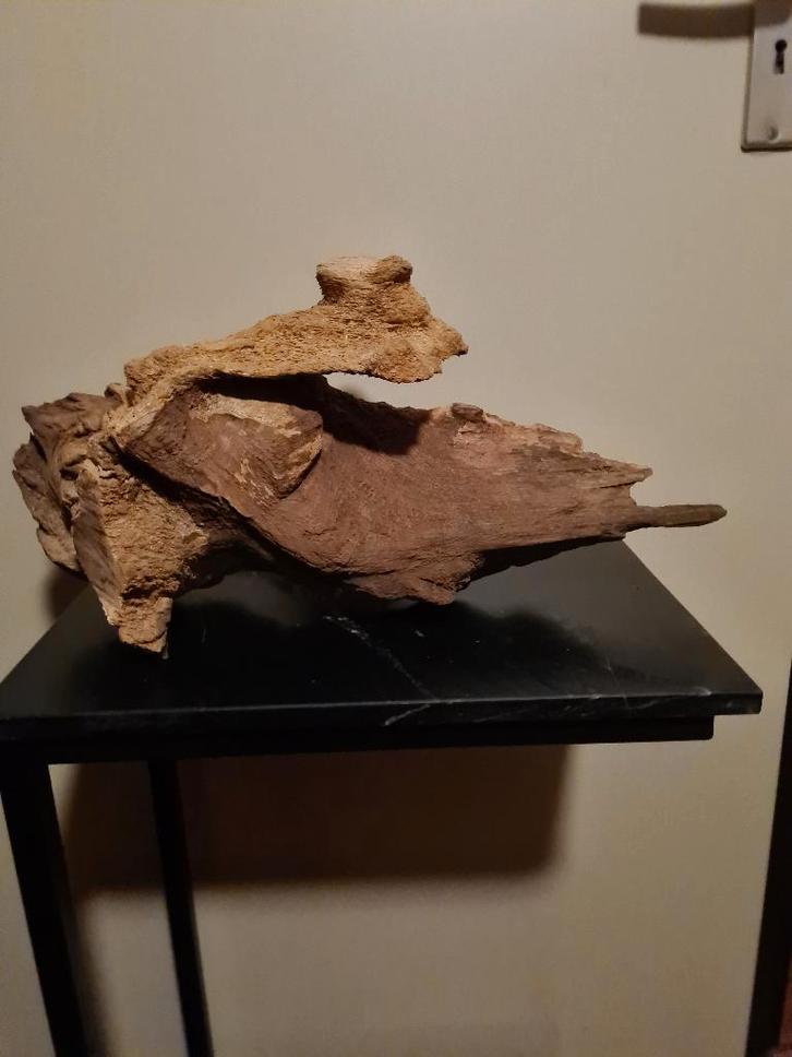 Drijfhout sier, Huis en Inrichting, Woonaccessoires | Wanddecoraties, Nieuw, Ophalen of Verzenden