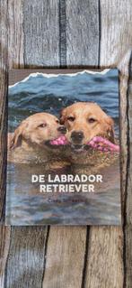 Labrador retriever boek, Ophalen of Verzenden, Zo goed als nieuw, Honden