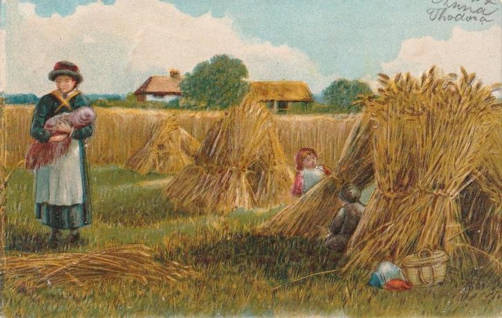 RELIEF BOERDERIJ BOERIN UIT 1905 MOOIE OUDE KAART. Kl644, Verzamelen, Ansichtkaarten | Themakaarten, Gelopen, Voor 1920, Overige thema's