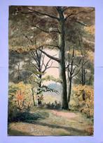 Grote aquarel bosgezicht K. Volbeda, Verzenden