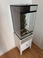 Terrarium 40x40x70 met kastje en accesoires, Ophalen, Glas, Zo goed als nieuw, Glas