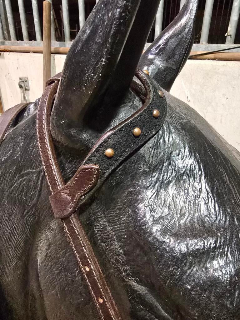 Aparte one ear, Dieren en Toebehoren, Paarden en Pony's | Hoofdstellen en Tuigage, Ophalen of Verzenden, Gebruikt, Western