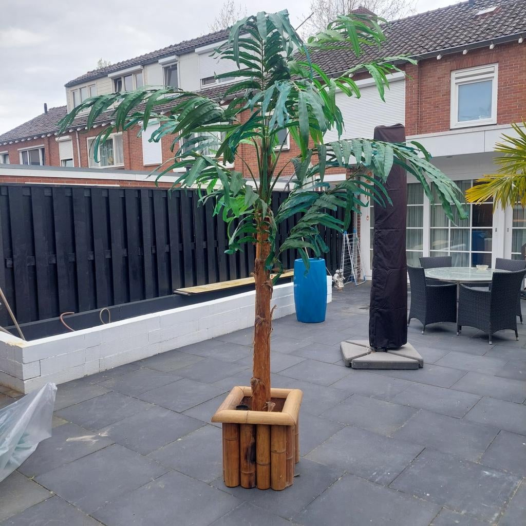 2 decoratie palmbomen. Kunstof en bamboe., 100 tot 250 cm, Zomer, Palmboom, Ophalen