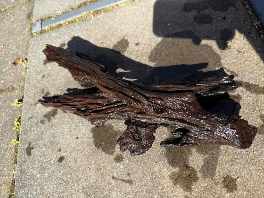 4. Aquariumhout / driftwood, Vis