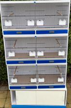 Kunststof broedkooien, Dieren en Toebehoren, Ophalen, Zo goed als nieuw, Hout, Broedkooi of Kweekkooi