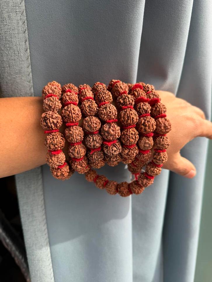 Authentieke Rudraksha Mala uit Nepal - Spirituele Kralenkett, Sieraden, Tassen en Uiterlijk, Armbanden, Nieuw, Hout, Bruin, Met bedels of kralen