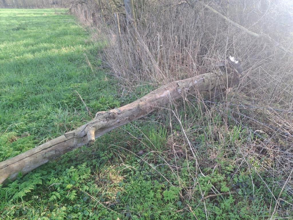 Gezocht Haardhout!, Tuin en Terras, Haardhout, Minder dan 3 m³, Ophalen of Verzenden