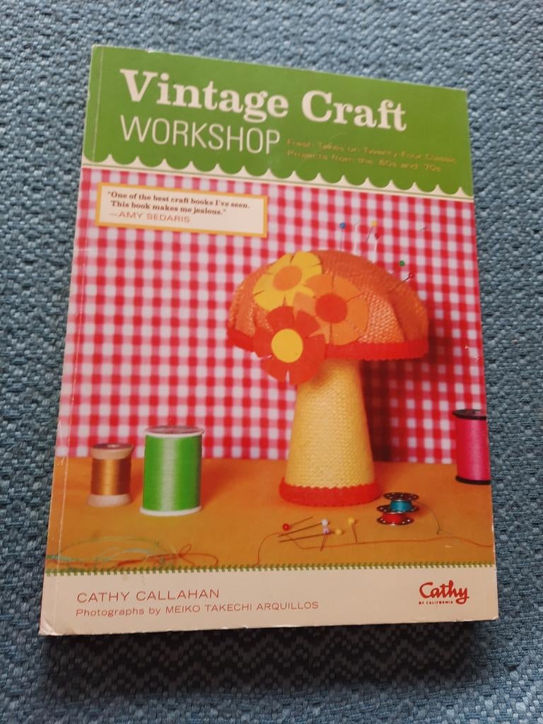 Vintage Craft Workshop: Macramé, Appliqué, Découpage, Ophalen of Verzenden, Zo goed als nieuw, Overige onderwerpen, Cathy Callahan