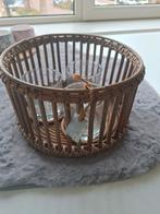 Waxinelicht houder, Huis en Inrichting, Woonaccessoires | Kandelaars en Kaarsen, Overige materialen, Bruin, Ophalen of Verzenden