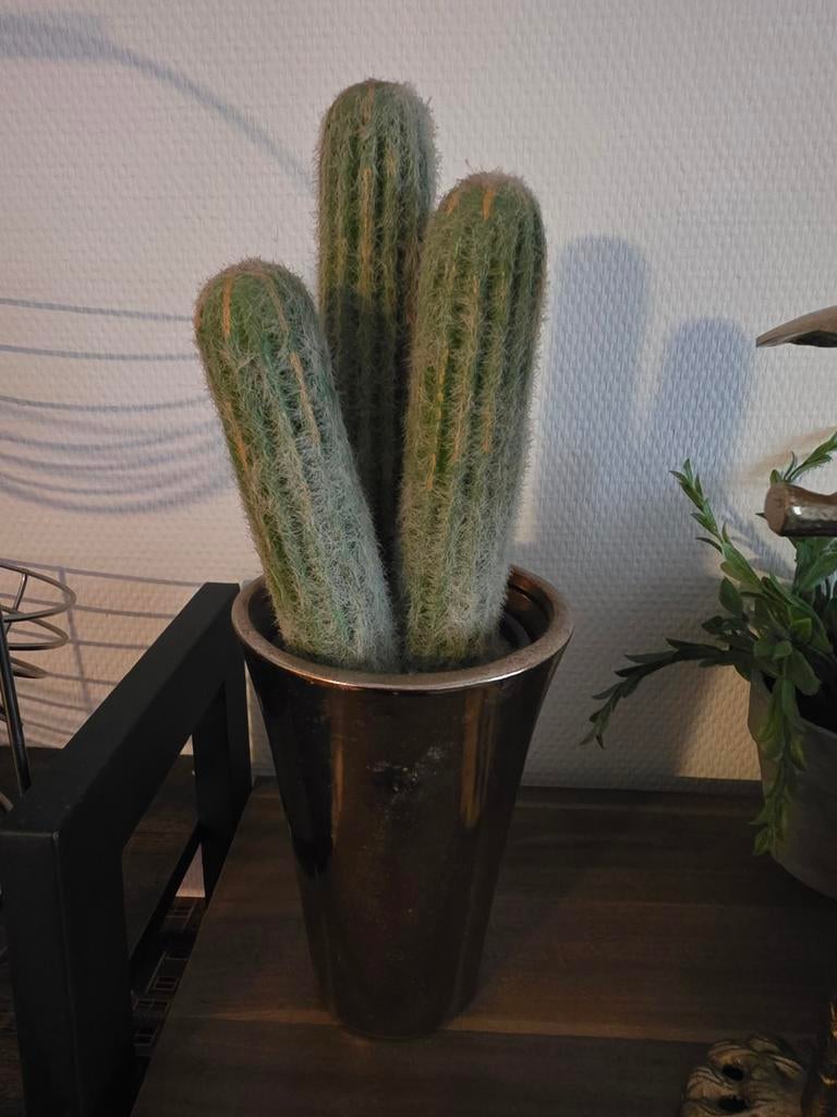 Decoratieve Cactus Kunstplant in Pot, Ophalen of Verzenden, Nieuw, Binnen