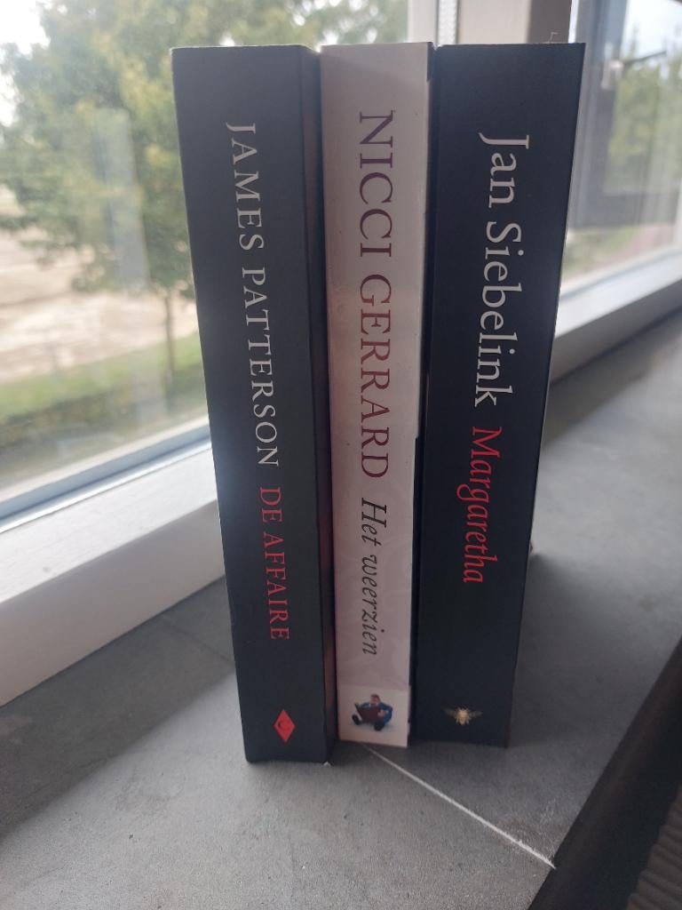 3 Thrillers van Jan Siebelink, James Paterson & Nicci Gerard, Ophalen of Verzenden, Zo goed als nieuw, Jan Siebelink, Nederland