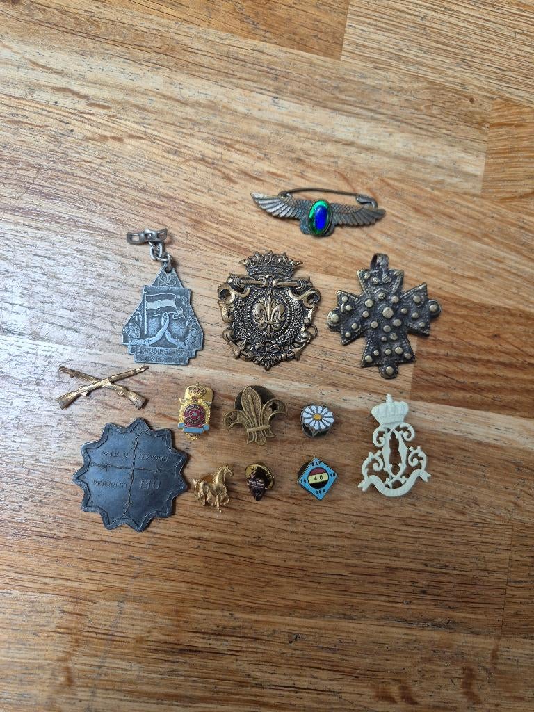 Partij speldjes en emblemen, Ophalen of Verzenden, Gebruikt, Overige onderwerpen