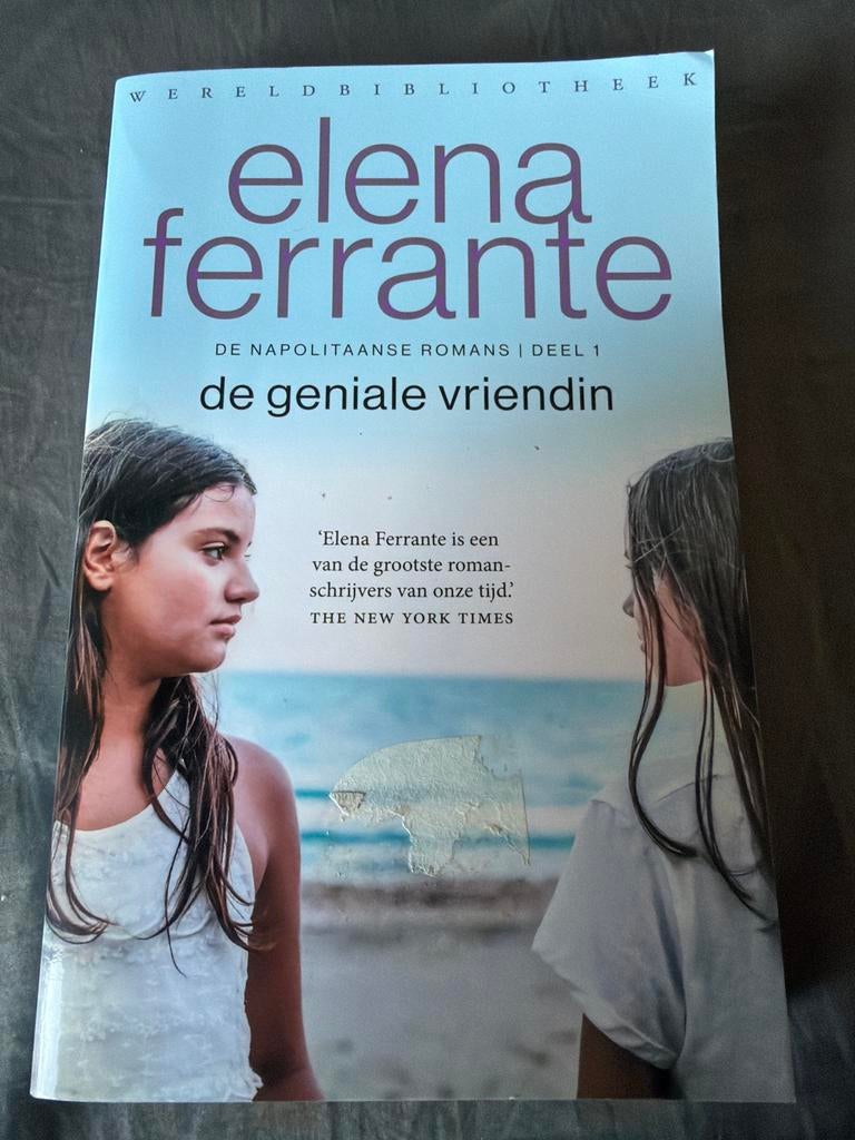 S5.  De Geniale Vriendin Elena Ferrante (Napolitaanse Romans, Boeken, Ophalen of Verzenden, Zo goed als nieuw, Nederland