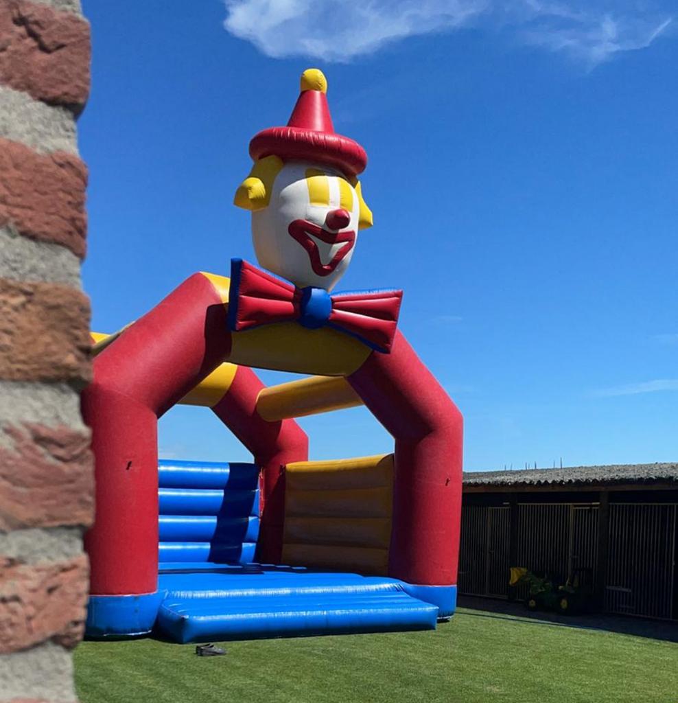 Springkussen clown, Ophalen of Verzenden, Gebruikt