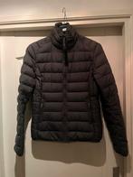 Parajumpers tussenjas maat 176 XS S, Ophalen, Gedragen, Overige maten, Grijs