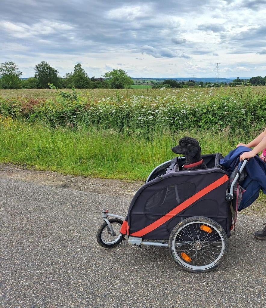 Honden fietskar Doggy Deluxe, Ophalen, Gebruikt