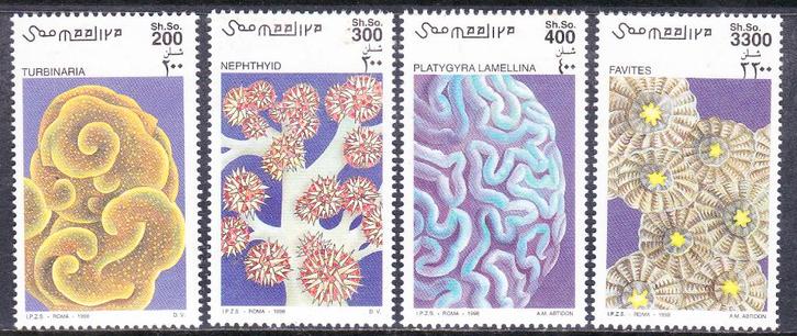 Somalie 1998 pf mi 730 - 733 koraal, Postzegels en Munten, Postzegels | Thematische zegels, Postfris, Dier of Natuur, Verzenden