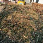 Verse houtsnippers van conifeer, Ophalen, Gebruikt