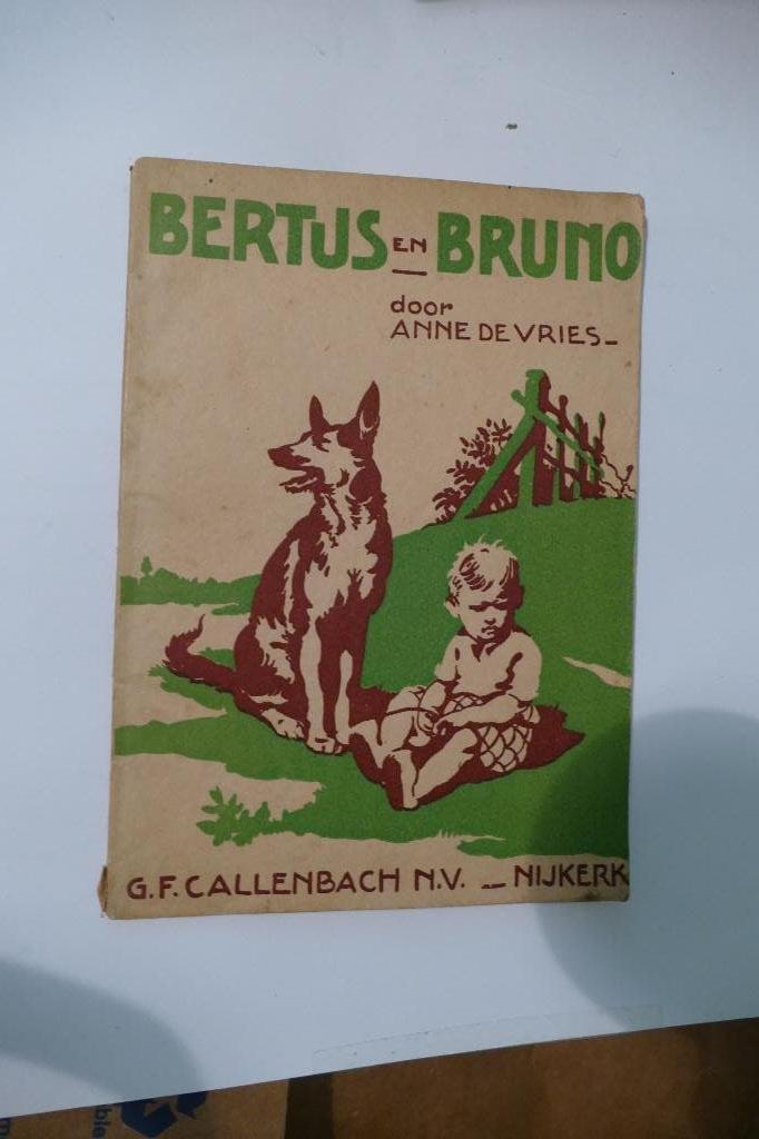 Anne de Vries – Bertus en Bruno, Ophalen of Verzenden, Anne de Vries