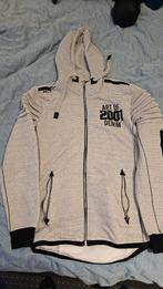 Heren vest met capuchon - Goede kwaliteit - Maat M, Kleding | Heren, Truien en Vesten, Maat 48/50 (M), Ophalen of Verzenden, Grijs